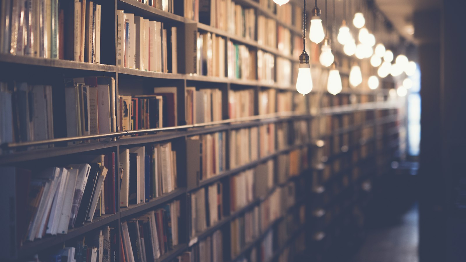 Warm library shelves lined with old books